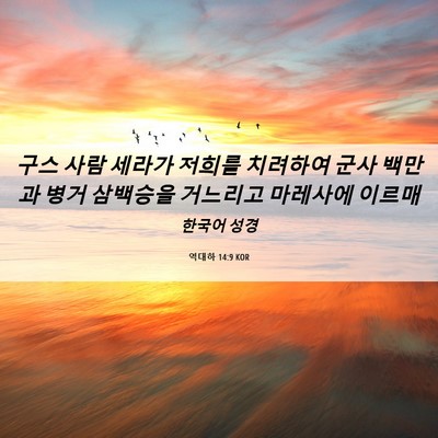 Picture 06 - 역대하 14:9 KOR - 구스 사람 세라가 저희를 치려하여 - Bible Verse Picture