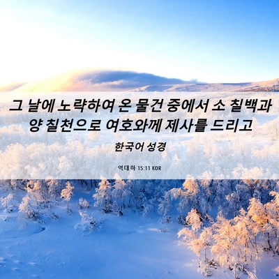 Picture 06 - 역대하 15:11 KOR - 그 날에 노략하여 온 물건 중에서 소 - Bible Verse Picture