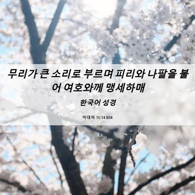 Picture 06 - 역대하 15:14 KOR - 무리가 큰 소리로 부르며 피리와 - Bible Verse Picture