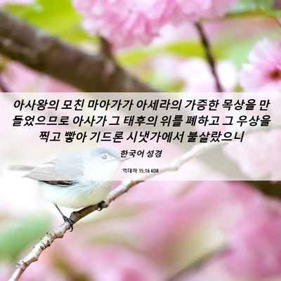 Picture 06 - 역대하 15:16 KOR - 아사왕의 모친 마아가가 아세라의 - Bible Verse Picture
