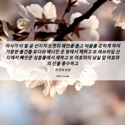 Picture 06 - 역대하 15:8 KOR - 아사가 이 말 곧 선지자 오뎃의 - Bible Verse Picture