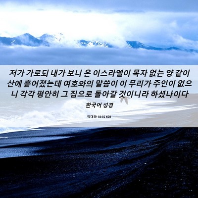 Picture 06 - 역대하 18:16 KOR - 저가 가로되 내가 보니 온 - Bible Verse Picture