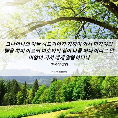 Picture 06 - 역대하 18:23 KOR - 그나아나의 아들 시드기야가 가까이 - Bible Verse Picture