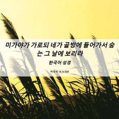 Picture 06 - 역대하 18:24 KOR - 미가야가 가로되 네가 골방에 - Bible Verse Picture
