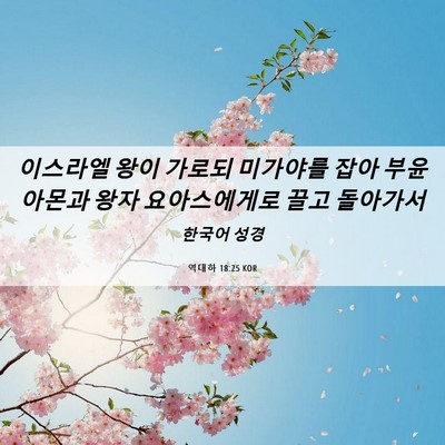 Picture 06 - 역대하 18:25 KOR - 이스라엘 왕이 가로되 미가야를 잡아 - Bible Verse Picture
