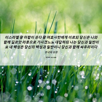 Picture 06 - 역대하 18:3 KOR - 이스라엘 왕 아합이 유다 왕 - Bible Verse Picture