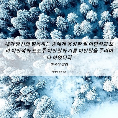 Picture 06 - 역대하 2:10 KOR - 내가 당신의 벌목하는 종에게 용정한 - Bible Verse Picture