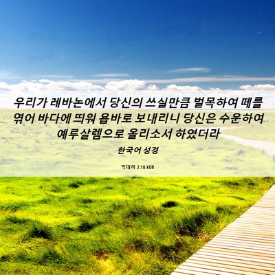 Picture 06 - 역대하 2:16 KOR - 우리가 레바논에서 당신의 쓰실만큼 - Bible Verse Picture