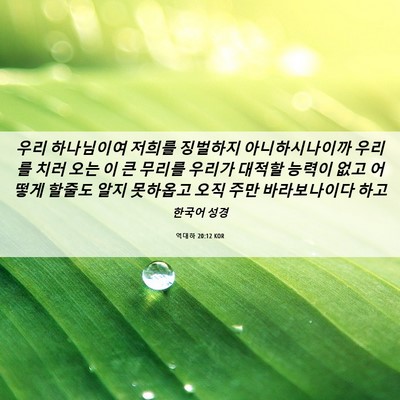 Picture 06 - 역대하 20:12 KOR - 우리 하나님이여 저희를 징벌하지 - Bible Verse Picture