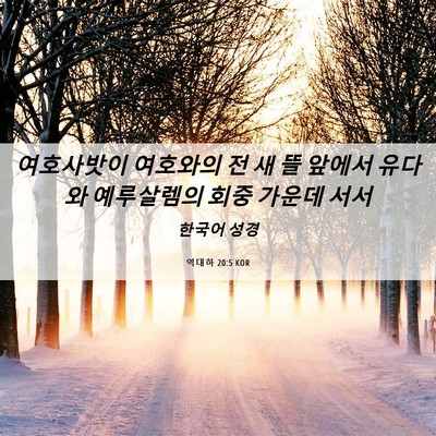 Picture 06 - 역대하 20:5 KOR - 여호사밧이 여호와의 전 새 뜰 - Bible Verse Picture