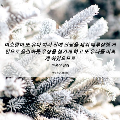 Picture 06 - 역대하 21:11 KOR - 여호람이 또 유다 여러 산에 산당을 - Bible Verse Picture