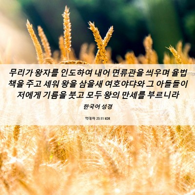 Picture 06 - 역대하 23:11 KOR - 무리가 왕자를 인도하여 내어 - Bible Verse Picture