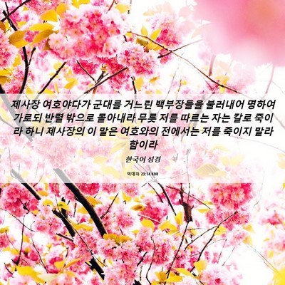 Picture 06 - 역대하 23:14 KOR - 제사장 여호야다가 군대를 거느린 - Bible Verse Picture