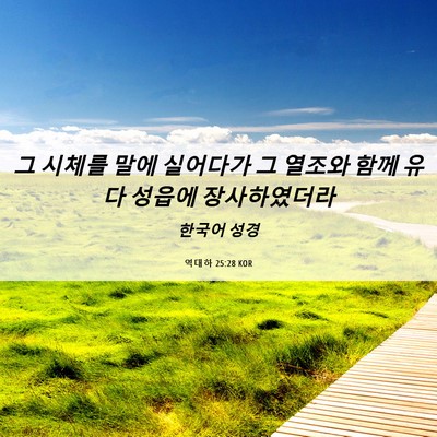 Picture 06 - 역대하 25:28 KOR - 그 시체를 말에 실어다가 그 열조와 - Bible Verse Picture