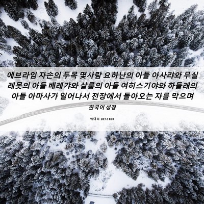 Picture 06 - 역대하 28:12 KOR - 에브라임 자손의 두목 몇사람 - Bible Verse Picture