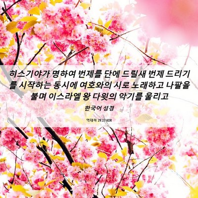 Picture 06 - 역대하 29:27 KOR - 히스기야가 명하여 번제를 단에 - Bible Verse Picture