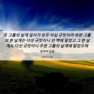 Picture 06 - 역대하 3:11 KOR - 두 그룹의 날개 길이가 모두 이십 - Bible Verse Picture