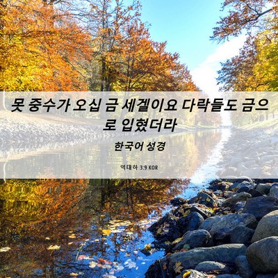 Picture 06 - 역대하 3:9 KOR - 못 중수가 오십 금 세겔이요 - Bible Verse Picture