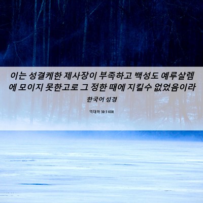 Picture 06 - 역대하 30:3 KOR - 이는 성결케한 제사장이 부족하고 - Bible Verse Picture