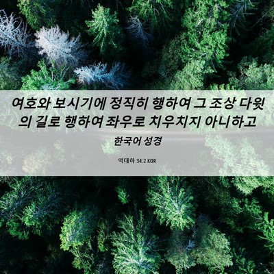 Picture 06 - 역대하 34:2 KOR - 여호와 보시기에 정직히 행하여 그 - Bible Verse Picture