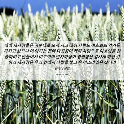 Picture 06 - 역대하 7:6 KOR - 때에 제사장들은 직분대로 모셔 서고 - Bible Verse Picture