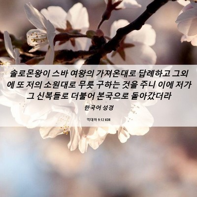 Picture 06 - 역대하 9:12 KOR - 솔로몬왕이 스바 여왕의 가져온대로 - Bible Verse Picture