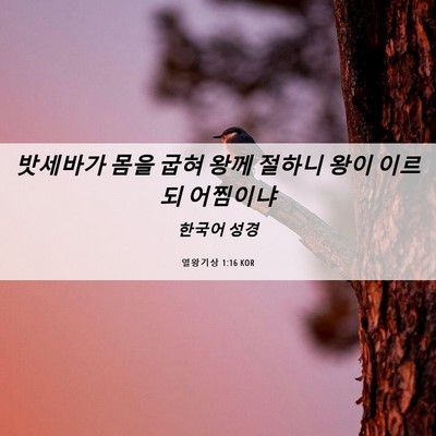 Picture 06 - 열왕기상 1:16 KOR - 밧세바가 몸을 굽혀 왕께 절하니 - Bible Verse Picture