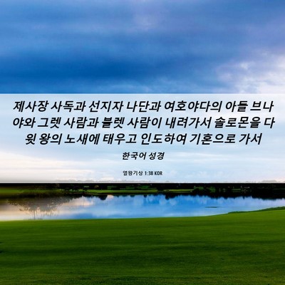 Picture 06 - 열왕기상 1:38 KOR - 제사장 사독과 선지자 나단과 - Bible Verse Picture