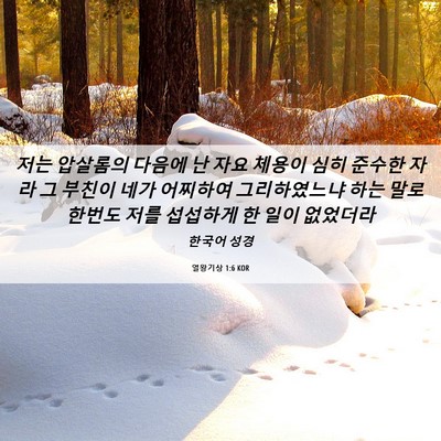 Picture 06 - 열왕기상 1:6 KOR - 저는 압살롬의 다음에 난 자요 - Bible Verse Picture