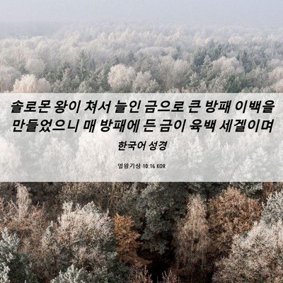 Picture 06 - 열왕기상 10:16 KOR - 솔로몬 왕이 쳐서 늘인 금으로 큰 - Bible Verse Picture
