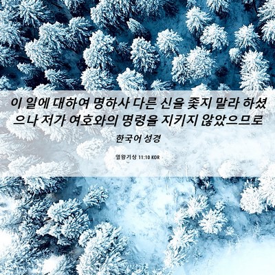 Picture 06 - 열왕기상 11:10 KOR - 이 일에 대하여 명하사 다른 신을 - Bible Verse Picture
