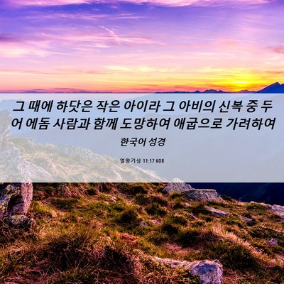 Picture 06 - 열왕기상 11:17 KOR - 그 때에 하닷은 작은 아이라 그 - Bible Verse Picture