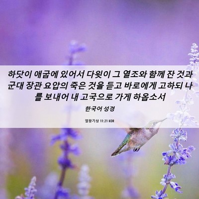 Picture 06 - 열왕기상 11:21 KOR - 하닷이 애굽에 있어서 다윗이 그 - Bible Verse Picture
