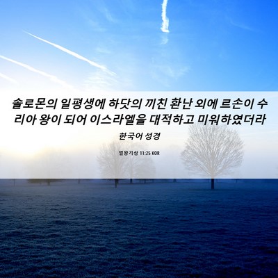 Picture 06 - 열왕기상 11:25 KOR - 솔로몬의 일평생에 하닷의 끼친 환난 - Bible Verse Picture