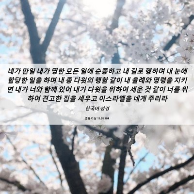 Picture 06 - 열왕기상 11:38 KOR - 네가 만일 내가 명한 모든 일에 - Bible Verse Picture