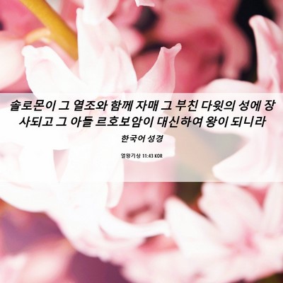 Picture 06 - 열왕기상 11:43 KOR - 솔로몬이 그 열조와 함께 자매 그 - Bible Verse Picture