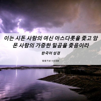 Picture 06 - 열왕기상 11:5 KOR - 이는 시돈 사람의 여신 아스다롯을 - Bible Verse Picture