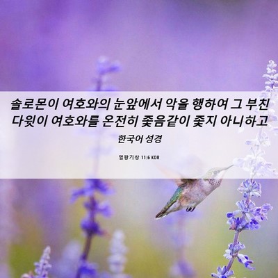 Picture 06 - 열왕기상 11:6 KOR - 솔로몬이 여호와의 눈앞에서 악을 - Bible Verse Picture