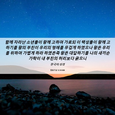 Picture 06 - 열왕기상 12:10 KOR - 함께 자라난 소년들이 왕께 고하여 - Bible Verse Picture