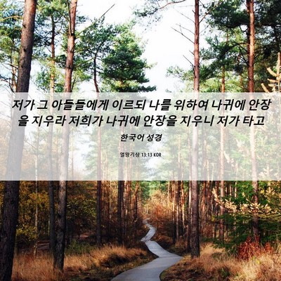 Picture 06 - 열왕기상 13:13 KOR - 저가 그 아들들에게 이르되 나를 - Bible Verse Picture