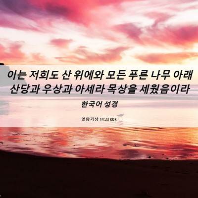 Picture 06 - 열왕기상 14:23 KOR - 이는 저희도 산 위에와 모든 푸른 - Bible Verse Picture