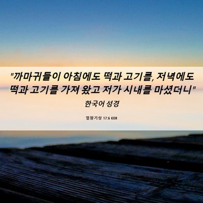 Picture 06 - 열왕기상 17:6 KOR - 