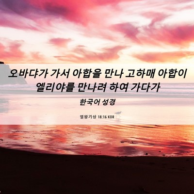 Picture 06 - 열왕기상 18:16 KOR - 오바댜가 가서 아합을 만나 고하매 - Bible Verse Picture