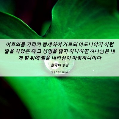 Picture 06 - 열왕기상 2:23 KOR - 여호와를 가리켜 맹세하여 가로되 - Bible Verse Picture