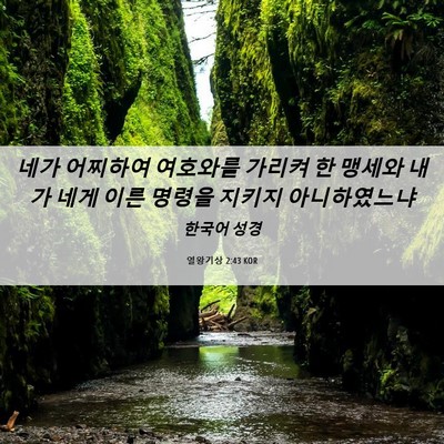 Picture 06 - 열왕기상 2:43 KOR - 네가 어찌하여 여호와를 가리켜 한 - Bible Verse Picture