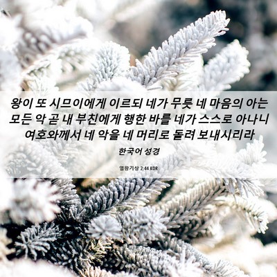 Picture 06 - 열왕기상 2:44 KOR - 왕이 또 시므이에게 이르되 네가 - Bible Verse Picture