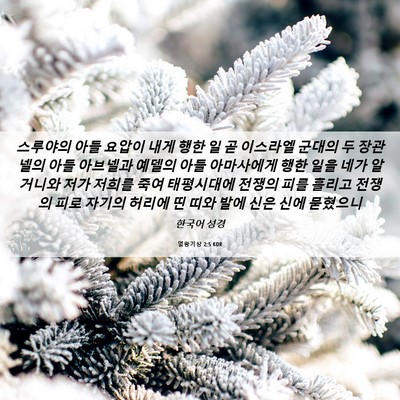 Picture 06 - 열왕기상 2:5 KOR - 스루야의 아들 요압이 내게 행한 일 - Bible Verse Picture