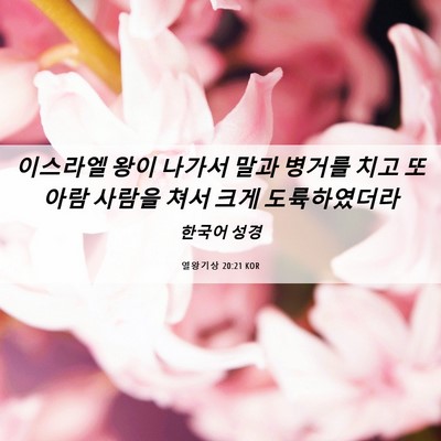 Picture 06 - 열왕기상 20:21 KOR - 이스라엘 왕이 나가서 말과 병거를 - Bible Verse Picture