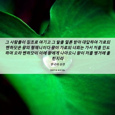 Picture 06 - 열왕기상 20:33 KOR - 그 사람들이 징조로 여기고 그 말을 - Bible Verse Picture