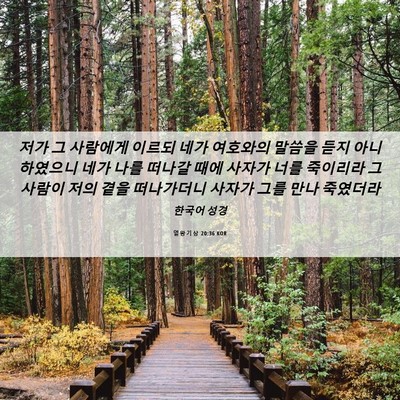 Picture 06 - 열왕기상 20:36 KOR - 저가 그 사람에게 이르되 네가 - Bible Verse Picture